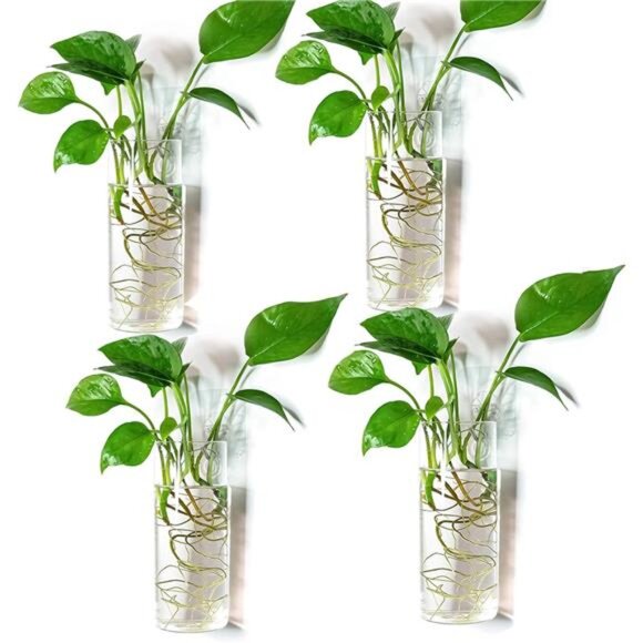 Kingbuy Wall Planter Terrarium Plant Propagation Station Glass Wall Vase for - Picture 1 of 7